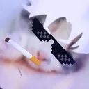 minagriffe