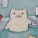 chonkycat123