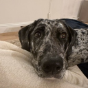 avatar Rich and famous