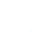 malekgfx