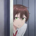 nysfol