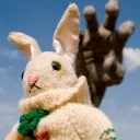 orderjackalope