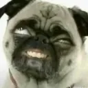 hakkstreams