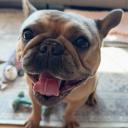 chaser2397's profile picture