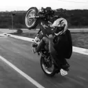 wldugrauu