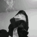 avatar Lary_sa ★ᴿᶠ