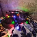 Аватар freakruner_789