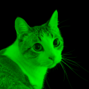 avatar tony