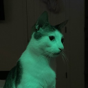 avatar tony