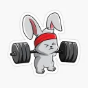 rowellyrabbit