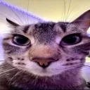 mrmochiii