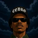.cedroo