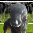 Аватар juramatey