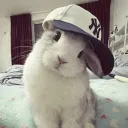 _muii