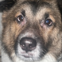 avatar jjamppongnoodles