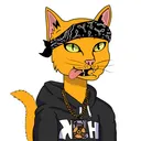 spacetimecats