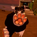 avatar ✨🌸 Luni 🌸✨