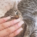 avatar ᵖᵘᵍˡᵘᵛᵉʳᵃˡᵉᵏˢᵃ