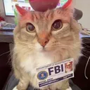 kitkat._55