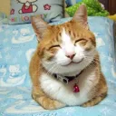 Аватар hieudang_