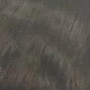 .byrd_