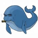 squid game