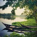trishit_youngsoo