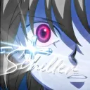 schillercraft