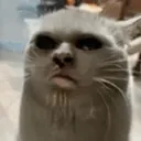 fabulasq