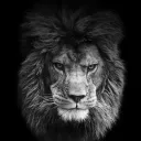 kinza0821
