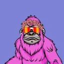 pbdrip