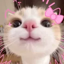 seiika_