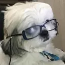 gamervermelho