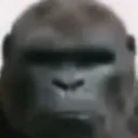 h4mzaa1