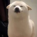 benjieming