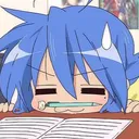 nanskip