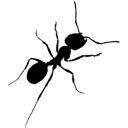 myrmecofourmis.org