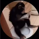lazali.com