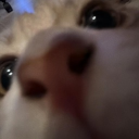 avatar GuguGaga