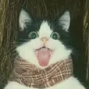 anteengg