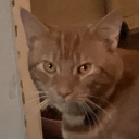 avatar ✝Sherry🐈