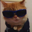 danxpi's profile picture