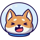 shiba_x3562