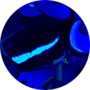 akiachu