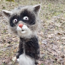 avatar putonthebeamaintnowhere2go