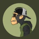 zackdev01