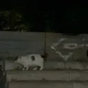 zxcvbnmasdfghjklqwertyuiopdima