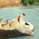 zxcvbnmasdfghjklqwertyuiopdima