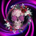 vnp_cmp
