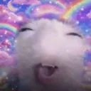 salvador_wazaaa.